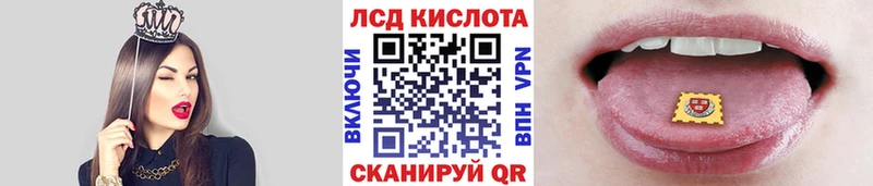 Марки N-bome 1500мкг  ссылка на мегу вход  Чкаловск 